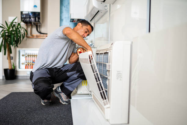 Best Affordable Air Duct Cleaning  in Lake St Croix Beach, MN