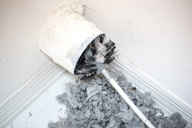Best Duct Cleaning for Offices  in Lake St Croix Beach, MN